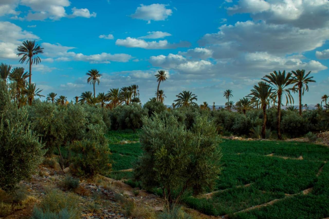 Kasbah Les Nomades Hotel Skoura Exterior photo