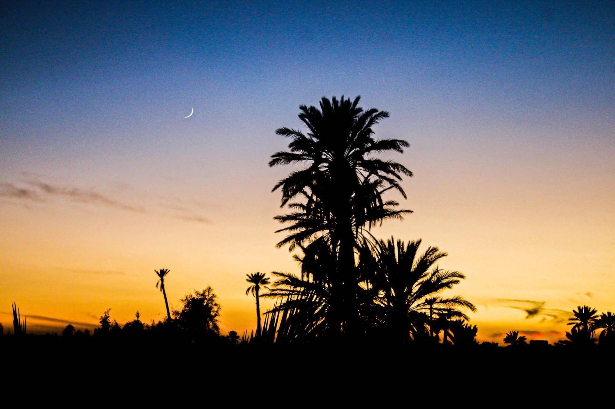 Kasbah Les Nomades Hotel Skoura Exterior photo